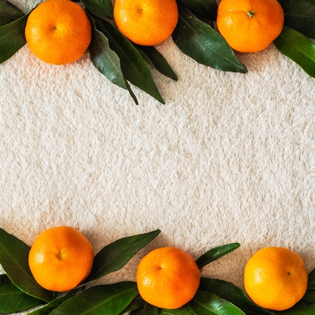 Tangerines (oranges, mandarins, clementines, citrus fruits) with leaves   ,  background, copy space.の写真素材