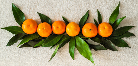 Tangerines (oranges, mandarins, clementines, citrus fruits) with leaves   ,  background, copy space.