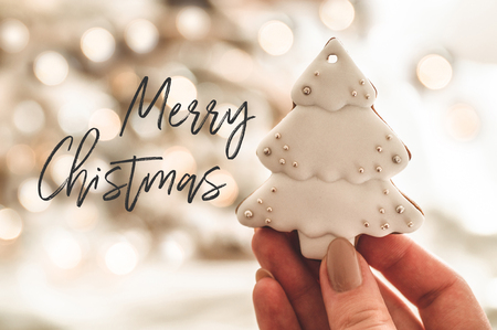 Merry Christmas. Female hands holding cookie shaped Christmas tree. Christmas mood. Concept of winter greeting.の写真素材