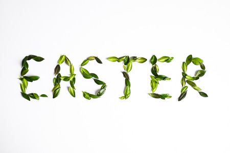 Happy Easter card. Cute Easter eggs with a painted face in a spring wreath with copy space for text. Isolated on white background. Happy easterの写真素材