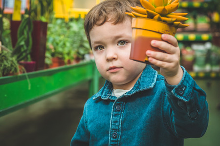 Beautiful boy playing with plant succulents in the retail store. Gardening In Greenhouse. Botanical garden, flower farming, horticultural industry conceptの写真素材