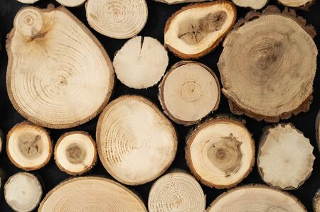 Wood texture background surface. Natural wood texture. Timber background of wood texture.の写真素材