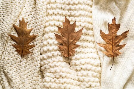 Fall Background with warm sweaters. Pile of knitted clothes with autumn leaves, warm background, knitwear, space for text, Autumn winter concept. Copy Space.の写真素材