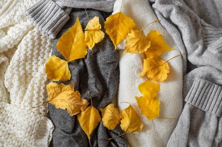 Pile of knitted clothes with autumn leaves, warm background, knitwear, space for text, Autumn winter concept. Copy Space.の写真素材