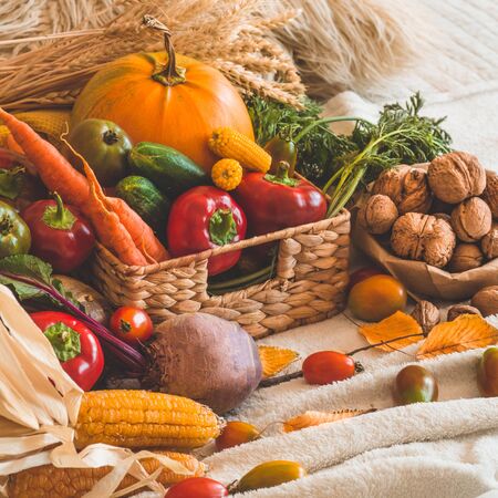 Harvest, Autumn. Still life with Thanksgiving concept. Panoramic collection of fresh healthy fruits and vegetables. Healthy eating background. Vegetables on vintage rustic wooden background.の写真素材
