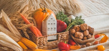 Harvest, Autumn. Still life with Thanksgiving concept. Panoramic collection of fresh healthy fruits and vegetables. Healthy eating background. Vegetables on vintage rustic wooden background.の写真素材