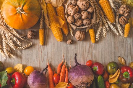Harvest, Autumn. Still life with Thanksgiving concept. Panoramic collection of fresh healthy fruits...