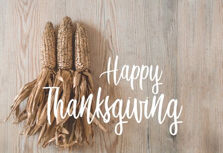 Card Happy Thanksgiving. Golden corn and wheat with autumn leaves in sunny light. Bright Fall image. Harvest time.の写真素材