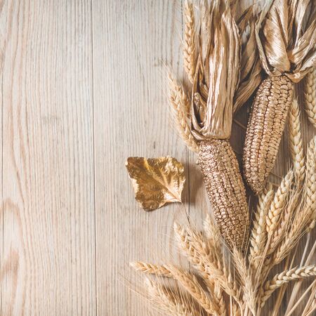 Hello Autumn. Golden corn and wheat with autumn leaves in sunny light. Bright Fall image. Harvest time. Happy Thanksgivingの写真素材