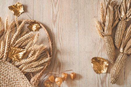 Hello Autumn. Golden corn and wheat with autumn leaves in sunny light. Bright Fall image. Harvest time. Happy Thanksgivingの写真素材