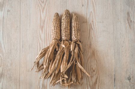 Hello Autumn. Golden corn and wheat with autumn leaves in sunny light. Bright Fall image. Harvest time. Happy Thanksgivingの写真素材