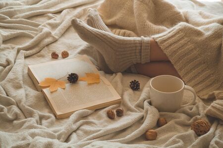 Cozy Autumn winter evening , warm woolen socks. Woman is lying feet up on white shaggy blanket and reading book. Cozy leisure scene. Text in book is unreadable. Woman relaxing at home. Comfy lifestyleの写真素材