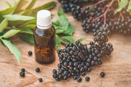 Elderberry syrup immunity boosting for flu season. Elder, black elder. European black elderberry...