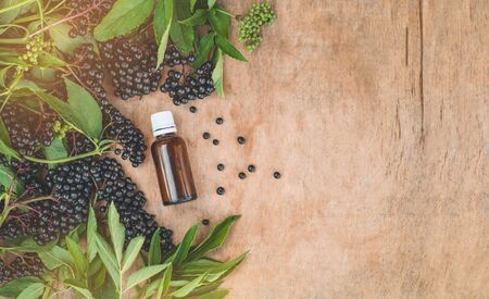 Elderberry syrup immunity boosting for flu season. Elder, black elder. European black elderberry...