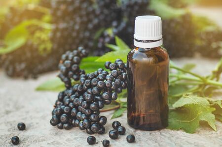 Elderberry syrup immunity boosting for flu season. Elder, black elder. European black elderberry backgroundの写真素材