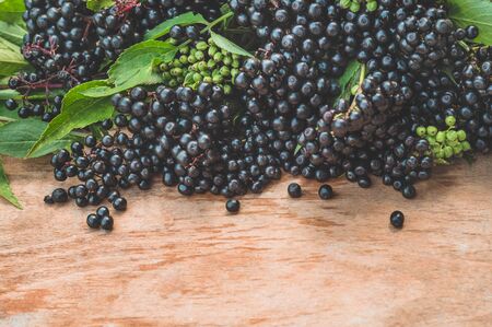 Clusters fruit black elderberry on a wooden background (Sambucus nigra). Elder, black elder. European black elderberry backgroundの写真素材