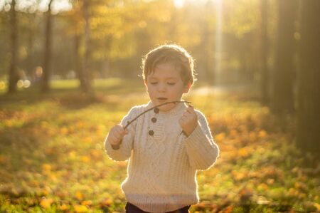 Happy little child baby boy laughing and playing in the autumn on the nature walk outdoorsの写真素材