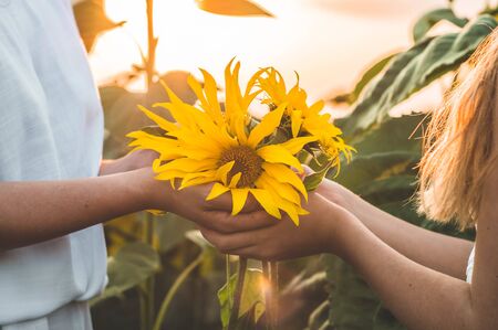 Happy mother and her teenager daughter in the sunflower field. Outdoors lifestyle happiness. Summer fun. Mothers Day conceptsの写真素材