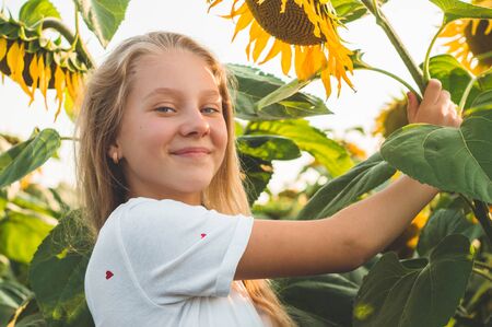 Beautiful young woman in a sunflower field. Portrait of a young woman in the sun. Pollen allergies concept. Outdoors lifestyle happiness. Summer.の写真素材
