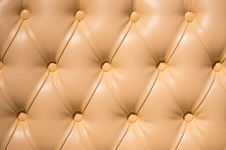 Coach-type velours screed tightened with buttons. Chesterfield style quilted upholstery backdrop...