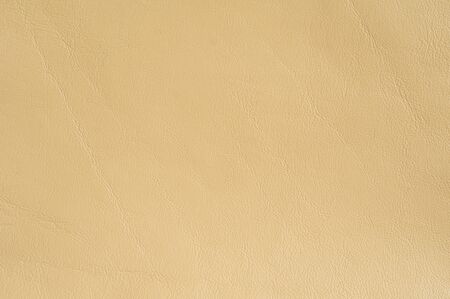 Beige Luxury leather samples close-up. Can be used as background. Industry background.の写真素材