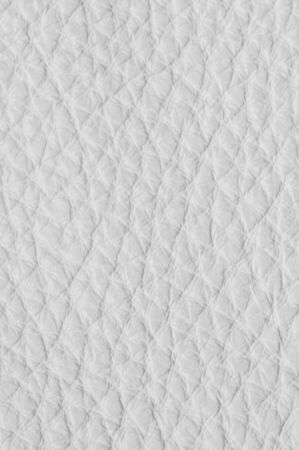 White Luxury leather samples close-up. Can be used as background. Industry background.の写真素材