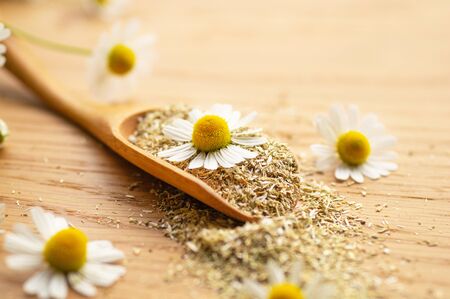Chamomile flowers and chamomile tea. Herbal chamomile tea. Close-up. Seasonal treatment, alternative medicine remedy.の写真素材