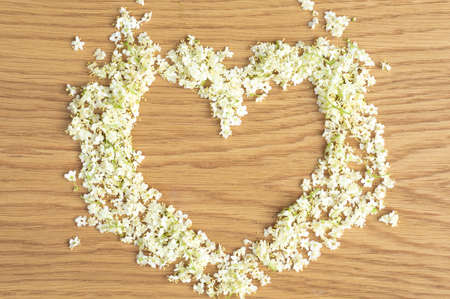 Elderberry flowers in the shape of a heart. Alternative medicine, copy space for text or inscription.の写真素材