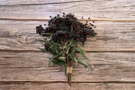 European black elderberry on a wooden background. (Sambucus nigra). Fruit black elderberryの写真素材