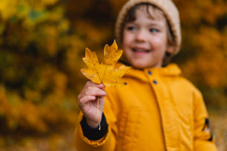 Happy little child baby boy laughing and playing in the autumn on the nature walk outdoorsの写真素材