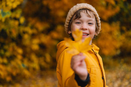 Happy child baby boy laughing and playing in the autumn day.の写真素材