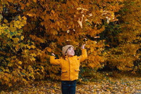 Happy child baby boy laughing and playing in the autumn day.の写真素材