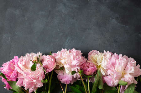 Peonies Flat lay. Beautiful peony flowers on dark background. Greeting card.