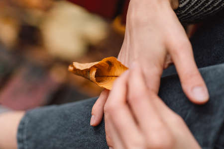 A woman is holding an autumn leaf. Lifestyle.の写真素材