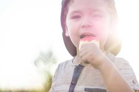 Happy Child eating cookies in the form of ice cream. Kids eat in the garden. Boy in the garden holding ice cream. Happy Boy kid eating ice cream.の写真素材