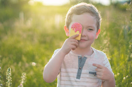 Happy Child eating cookies in the form of ice cream. Kids eat in the garden. Boy in the garden holding ice cream. Happy Boy kid eating ice cream.の写真素材