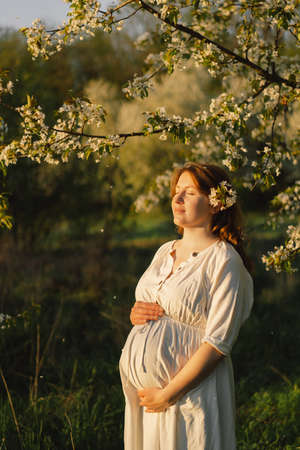 Spring portrait of a pregnant woman. A beautiful young pregnant woman in a white dress walks in the spring garden. Happy pregnancy. Springの写真素材