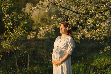 Spring portrait of a pregnant woman. A beautiful young pregnant woman in a white dress walks in the spring garden.の写真素材