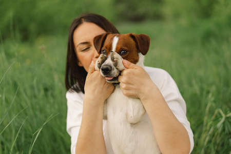 Woman play Jack Russell Terrier dog in meadow. Woman hugging Jack Russell Terrier dog in nature. Beautiful dog. Woman and dog friendship.の写真素材