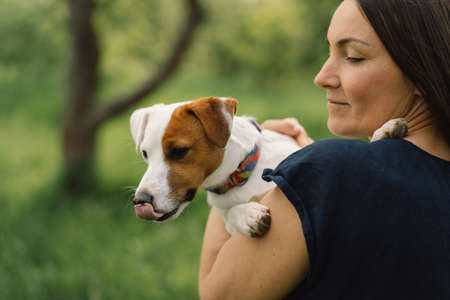 Woman play Jack Russell Terrier dog in meadow. Woman hugging Jack Russell Terrier dog in nature. Beautiful dog. Woman and dog friendship.の写真素材