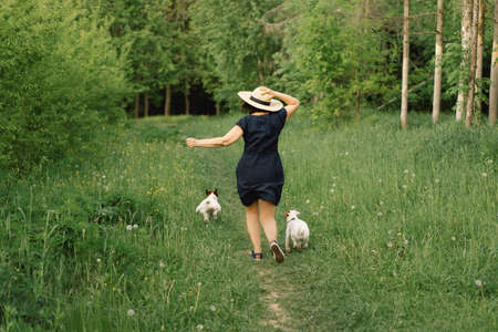 Woman play Jack Russell Terrier dog in meadow. Woman hugging Jack Russell Terrier dog in nature. Beautiful dog. Woman and dog friendship.の写真素材