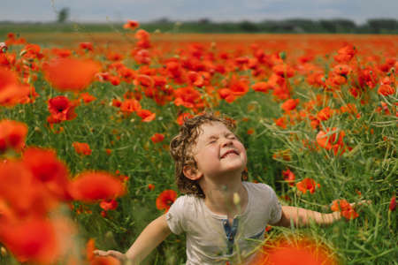 Little Boy plays in a beautiful field of red poppies. People and nature. Rural sceneの写真素材