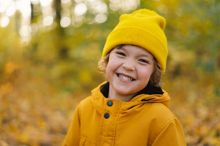 A little boy in a yellow hat and jacket walks through the autumn forest. Child are active in natureの写真素材