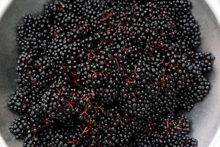 Raw ripe elderberry in a bowl standing on a green grass, top down view. Clusters fruit black...