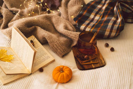 Still life details in home interior. Sweaters and cup of tea with autumn decor and books. Read, Rest.の写真素材