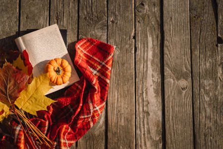 Open book with orange pumpkin, bouquet of autumn leaves with a plaid on a wooden background.の写真素材