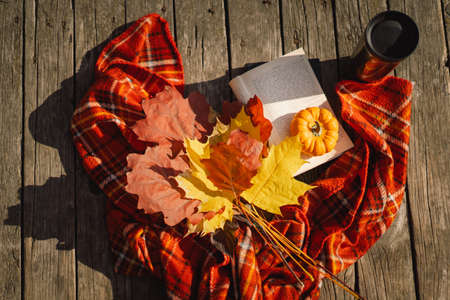 Open book with orange pumpkin, bouquet of autumn leaves with a plaid on a wooden background.の写真素材