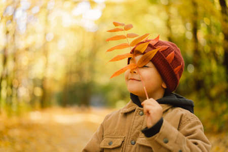 Happy child baby boy laughing and playing in the autumn day. Child covers her face with leaves