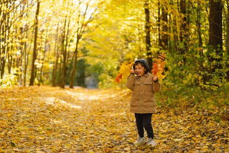 Happy little child baby boy laughing and playing in the autumn day. Child play with leavesの写真素材
