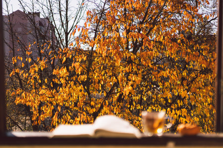 A cup of hot tea and open book on a vintage windowsill. Still life details in home on a windowの写真素材